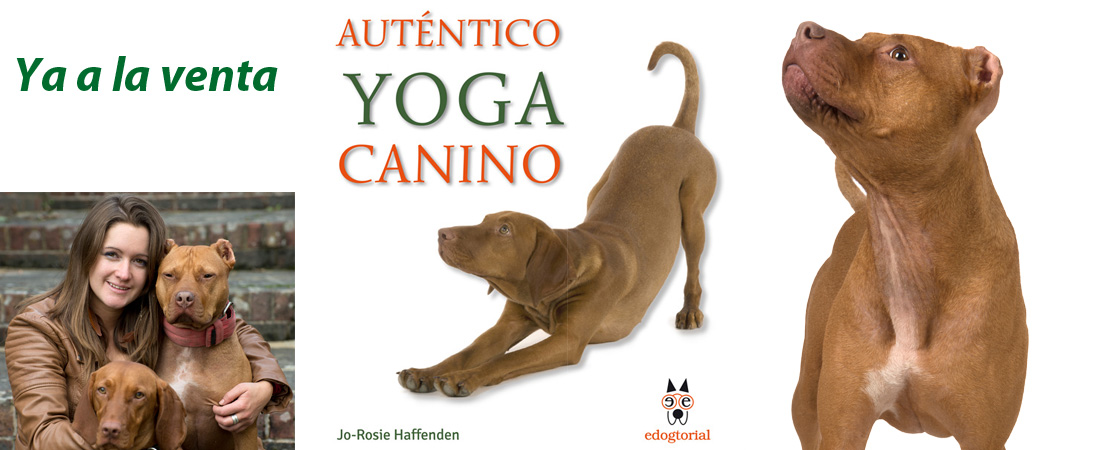 Libro Auténtico Yoga Canino