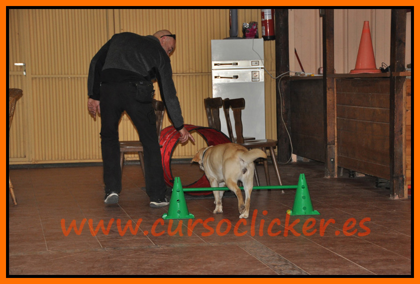 primer cap3 espaa enero 2012learning about dogs y www.cursoclicker.es con helen phillips072
