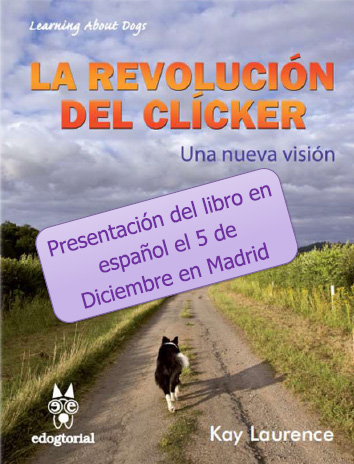 presentación libro español