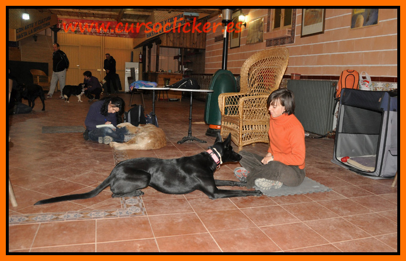primer cap3 espaa enero 2012learning about dogs y www.cursoclicker.es con helen phillips193