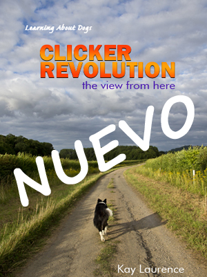 Clicker RevolutioncovNUEVO
